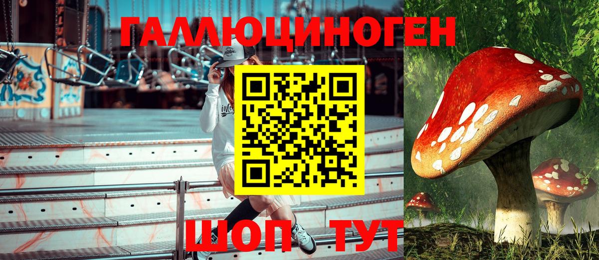 Абинск  Галлюциногенные грибы Psilocybine cubensis  Галлюциногенные грибы мухоморы  Вход с VPN 