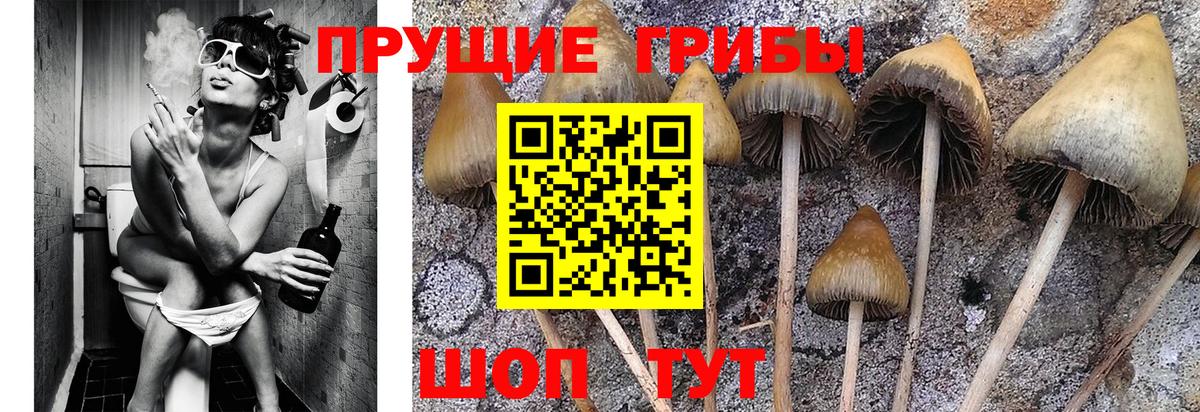 Псилоцибиновые грибы Magic Shrooms Абинск
